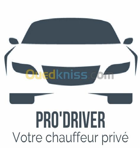 Chauffeur Vehicule leger - parle francais et anglais