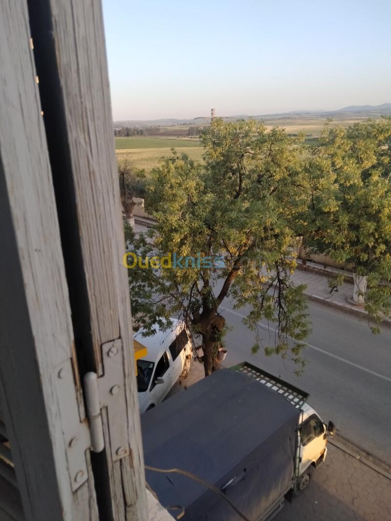 Vente Appartement F3 Aïn Defla Djendel 2