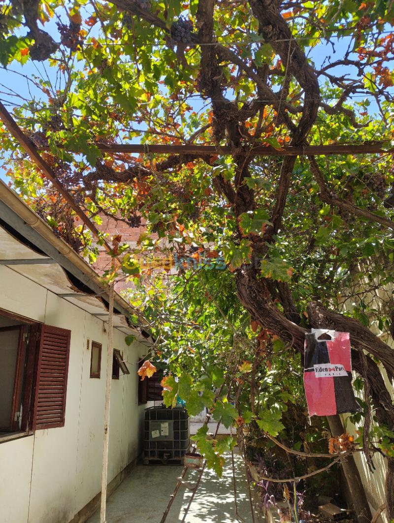 Location Appartement F6 Chlef Chlef 17