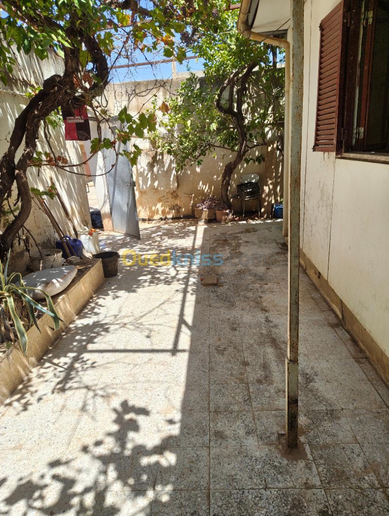 Location Appartement F6 Chlef Chlef 19