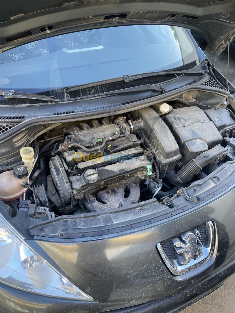 Peugeot 207 2008 207 8