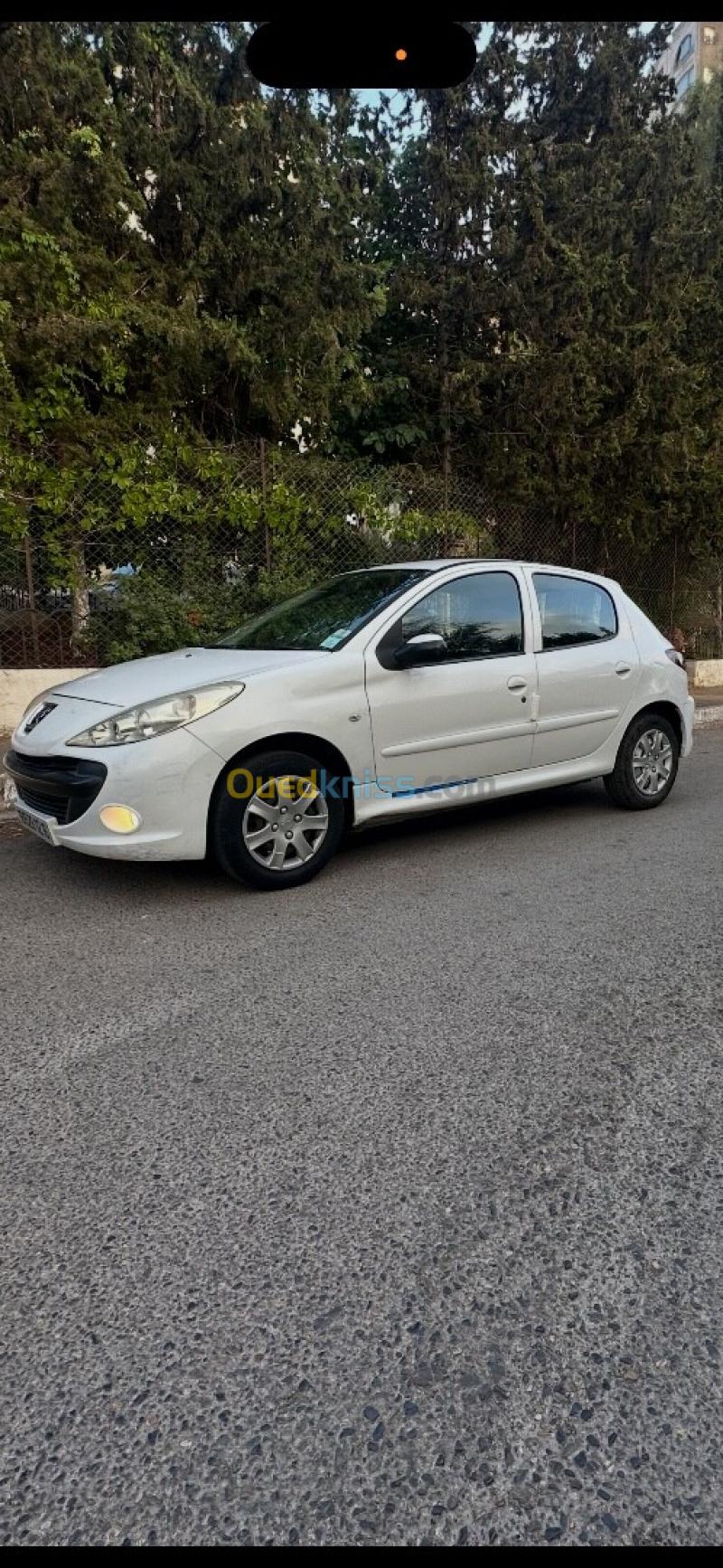 Peugeot 206 Plus 2012 206 Plus 9