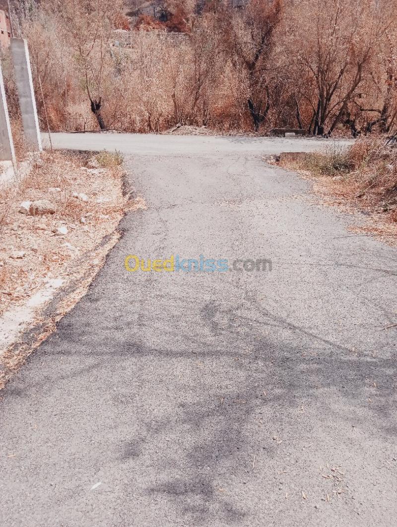 Vente Terrain Béjaïa Boukhelifa 7