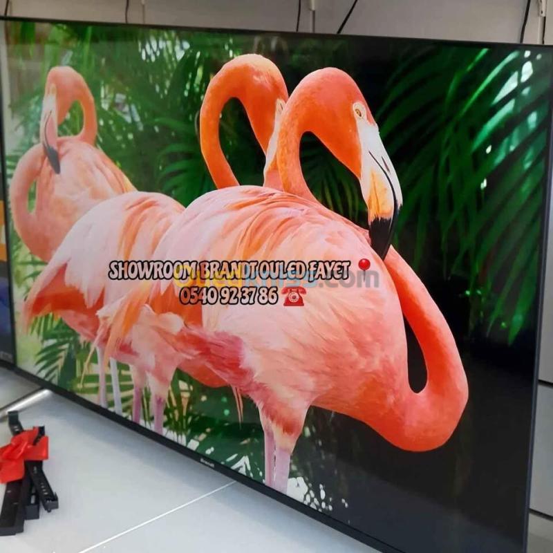 PROMO BRANDT GOOGLE TV 65 Q LED