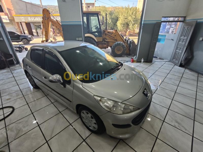 Peugeot 207 2008 207 10