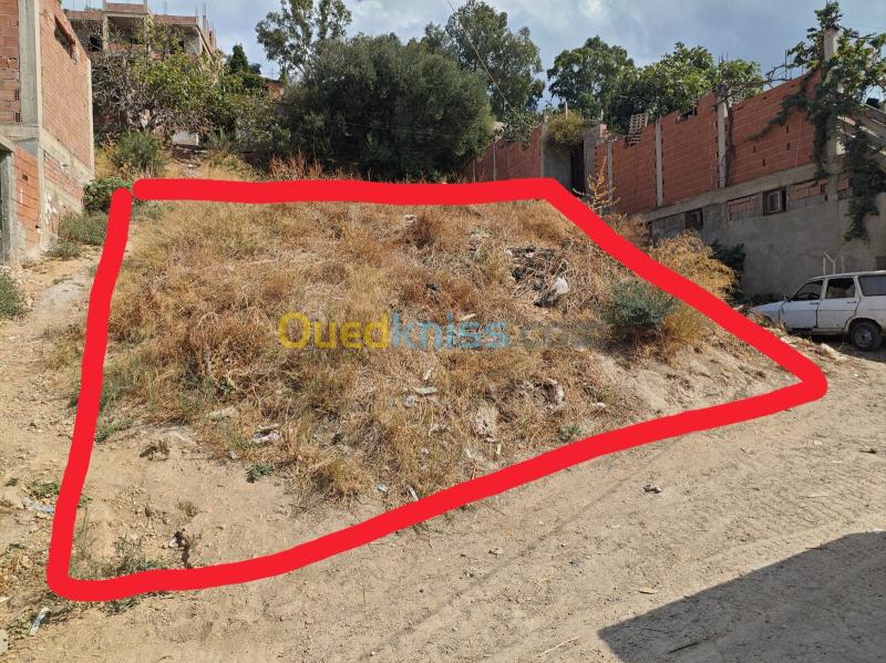 Vente Terrain Blida Larbaa
