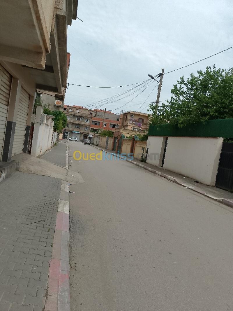 Location Local Alger Reghaia 7