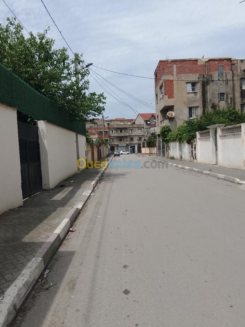 Location Local Alger Reghaia 6