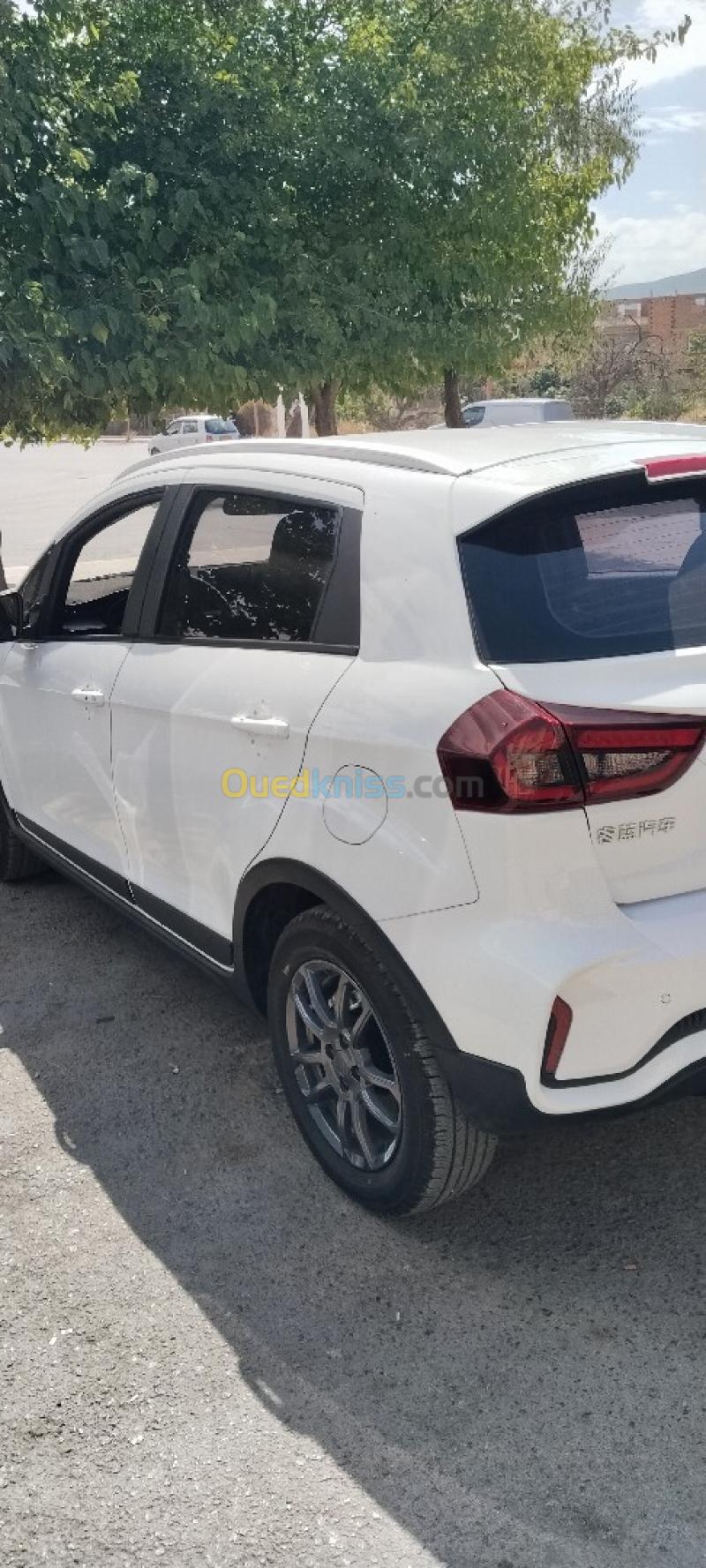 Livan X3 Pro  2026 Automatique (Avec toi ouvrant ) 3