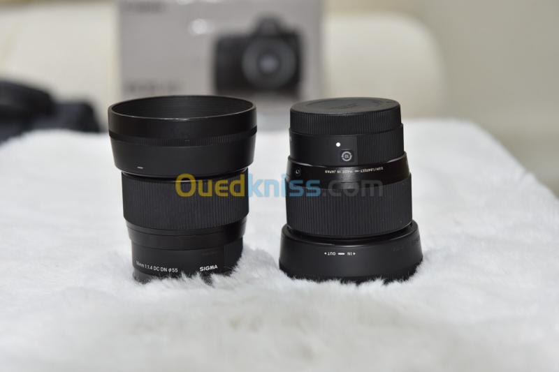Sigma 56 / 16 / 30 1.4 pour sony 9