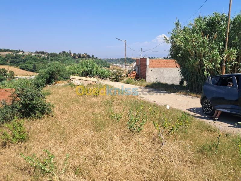 Vente Terrain Alger El achour 2