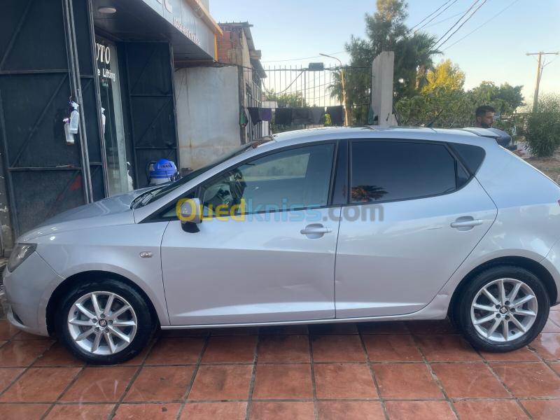 Seat Ibiza 2014 Crono 4