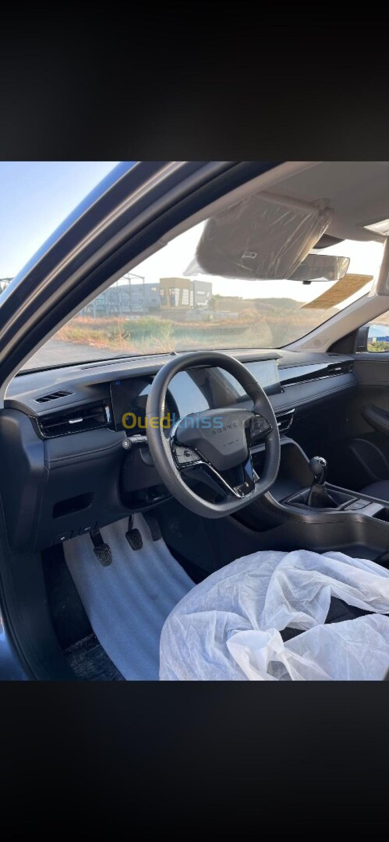 Baic Roewe 2026 Manual 5