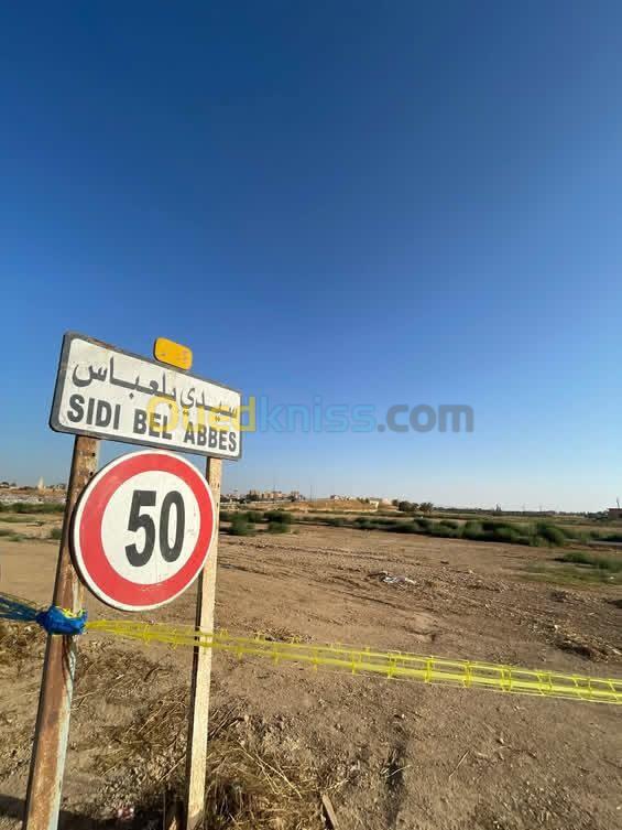 Vente Terrain Sidi Bel Abbès Sidi bel abbes 3