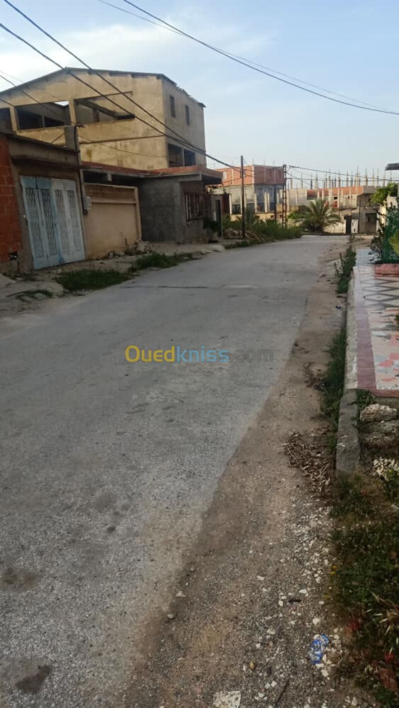 Vente Terrain El Tarf El kala 3