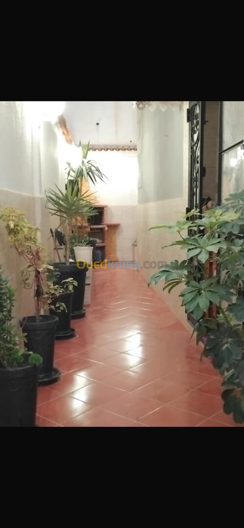 Vente Villa Alger El marsa 10