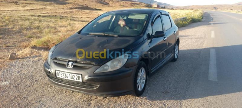 Peugeot 307 2002 307 3