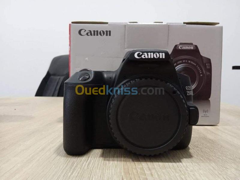  Appareil photo Canon EOS 250D + Objectif 18-55