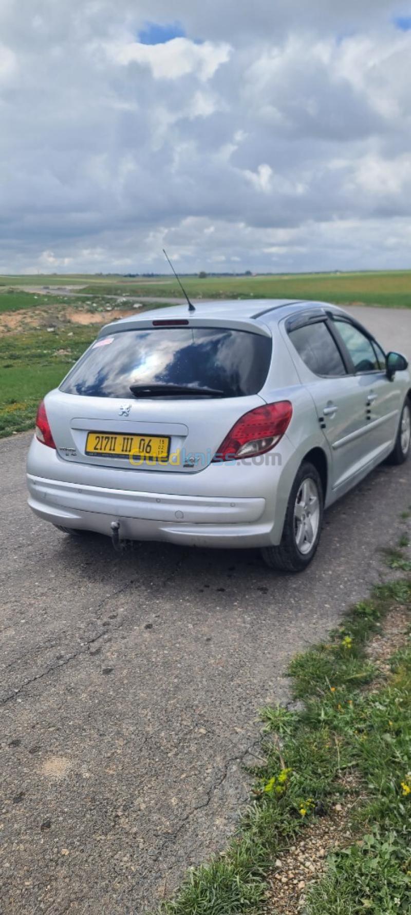Peugeot 207 2011 Active 5