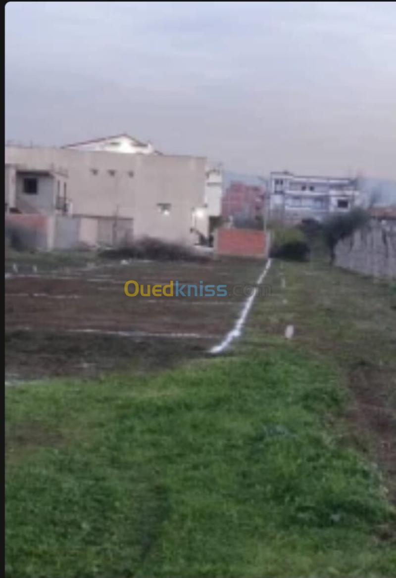 Vente Terrain Alger Birtouta 4