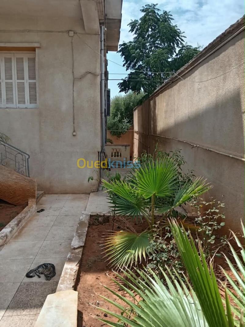 Vente Villa Alger Saoula 3