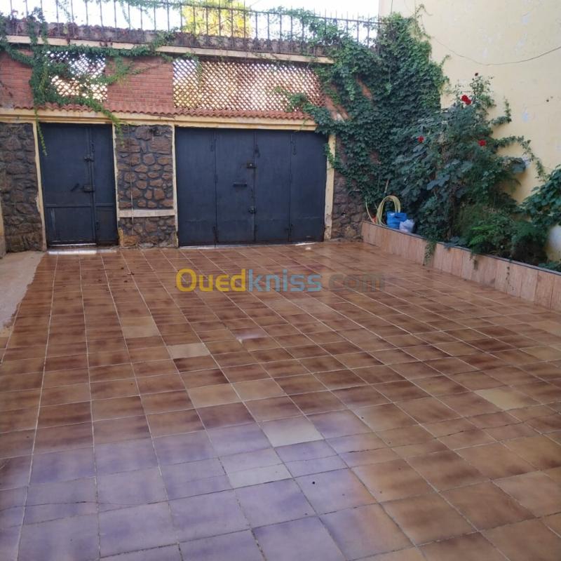 Vente Immeuble Oran Oran 3