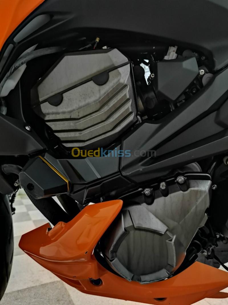 Kawazaki RZ800 2013 3