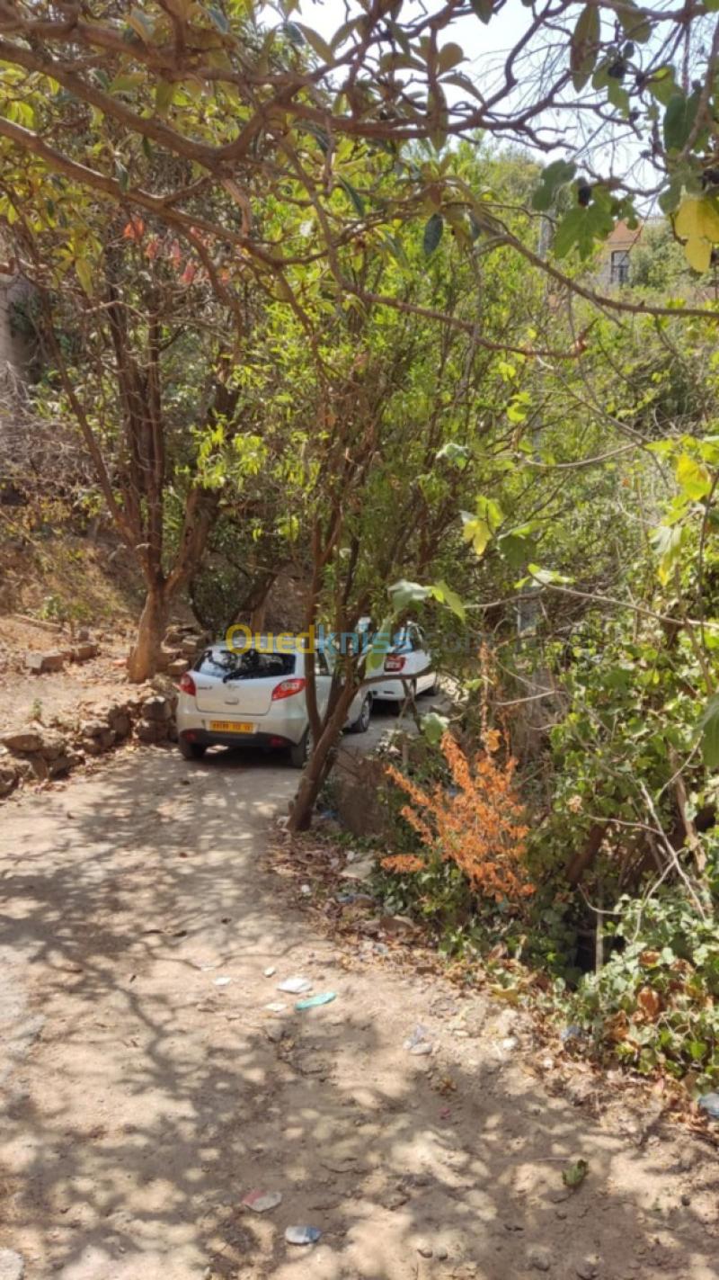 Vente Terrain Tlemcen Tlemcen 9
