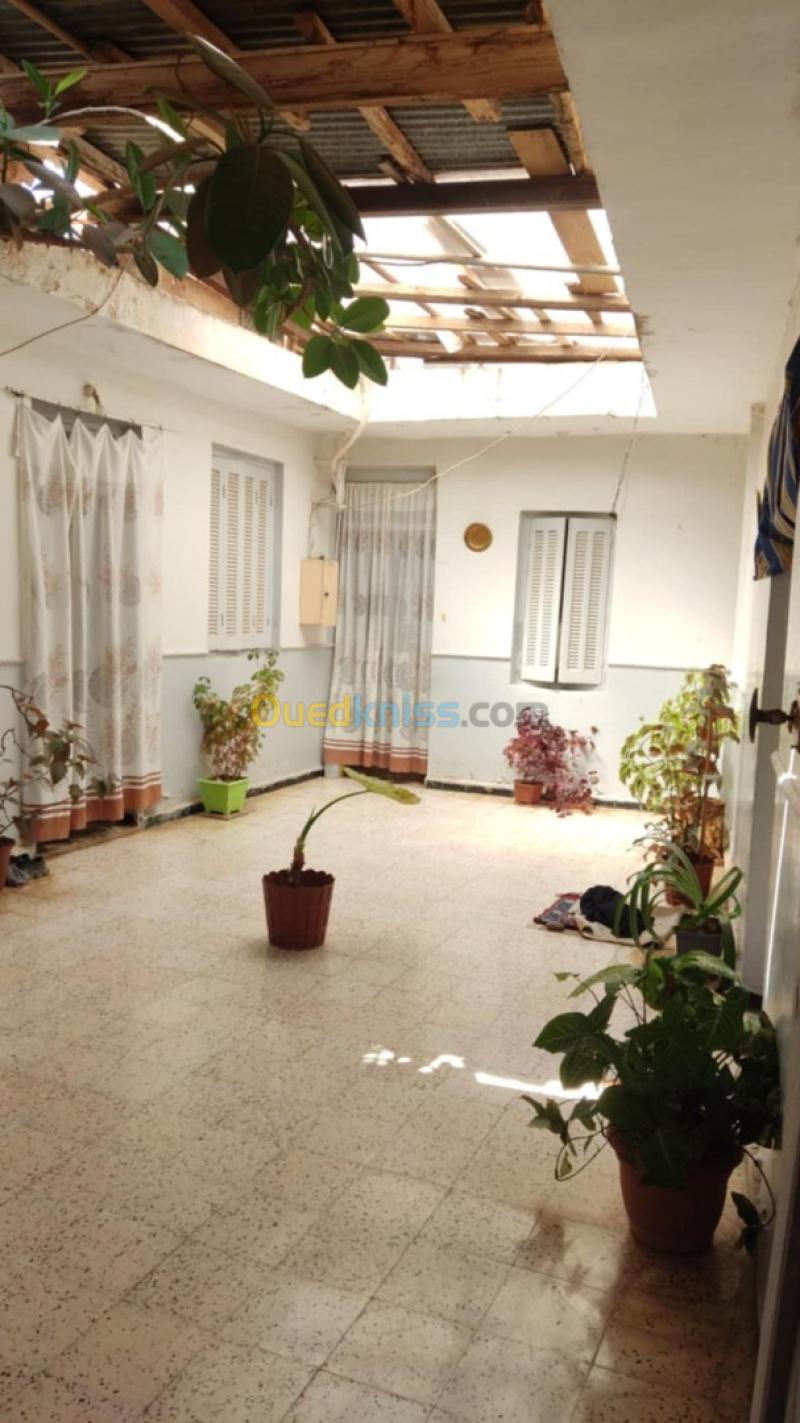 Vente Terrain Tlemcen Tlemcen 7