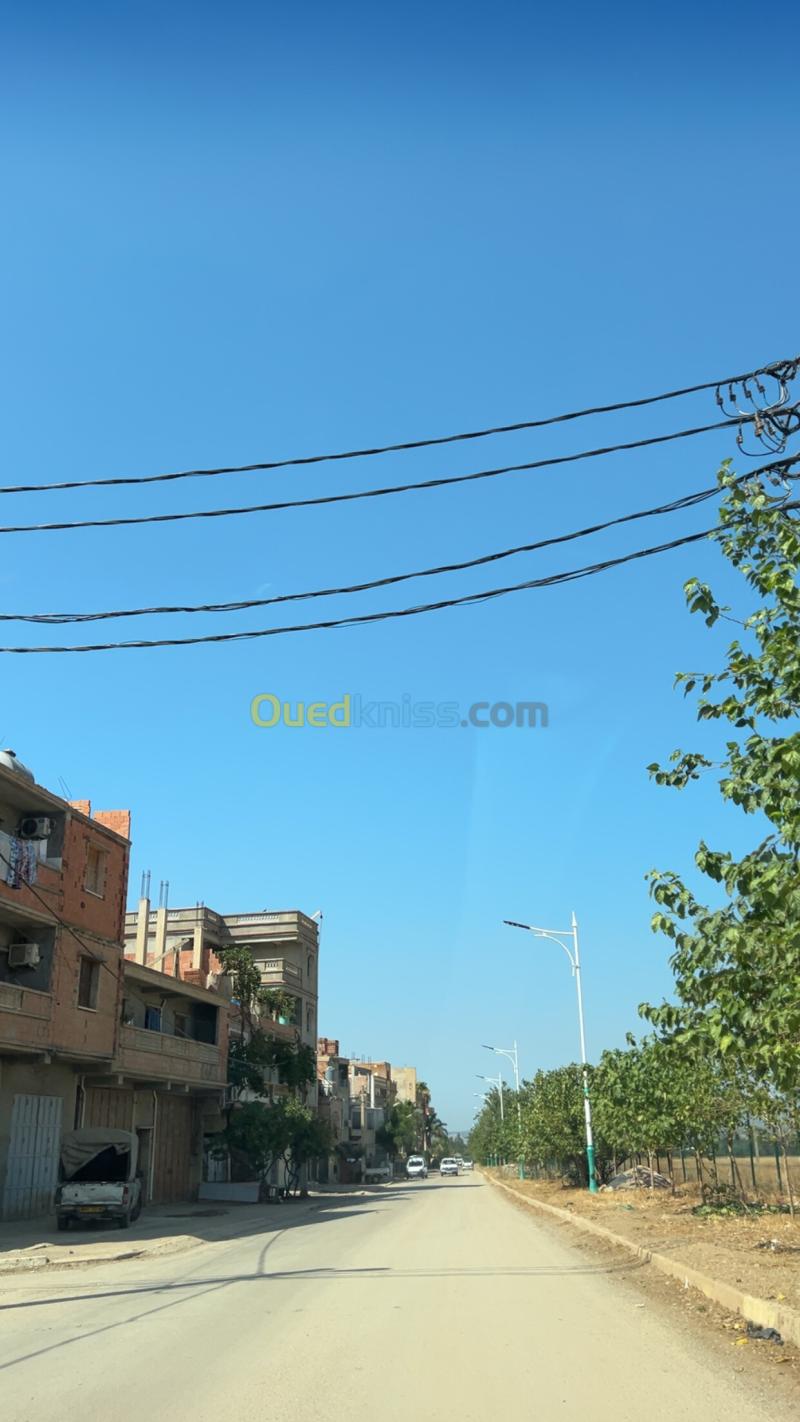 Vente Terrain Blida Bouinan 9