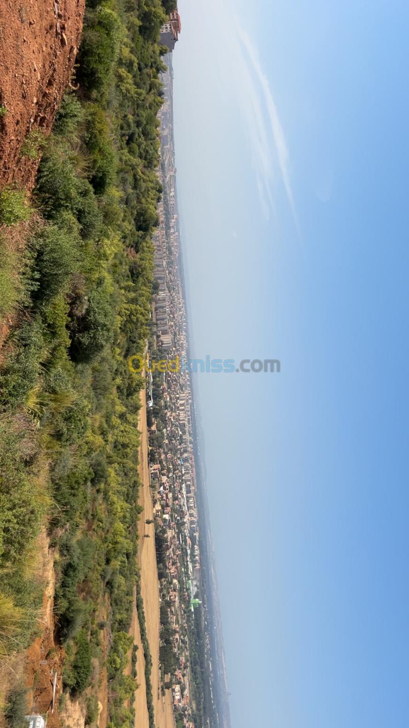 Vente Terrain Blida Bouinan 2