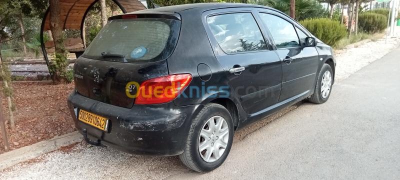 Peugeot 307 2006  3