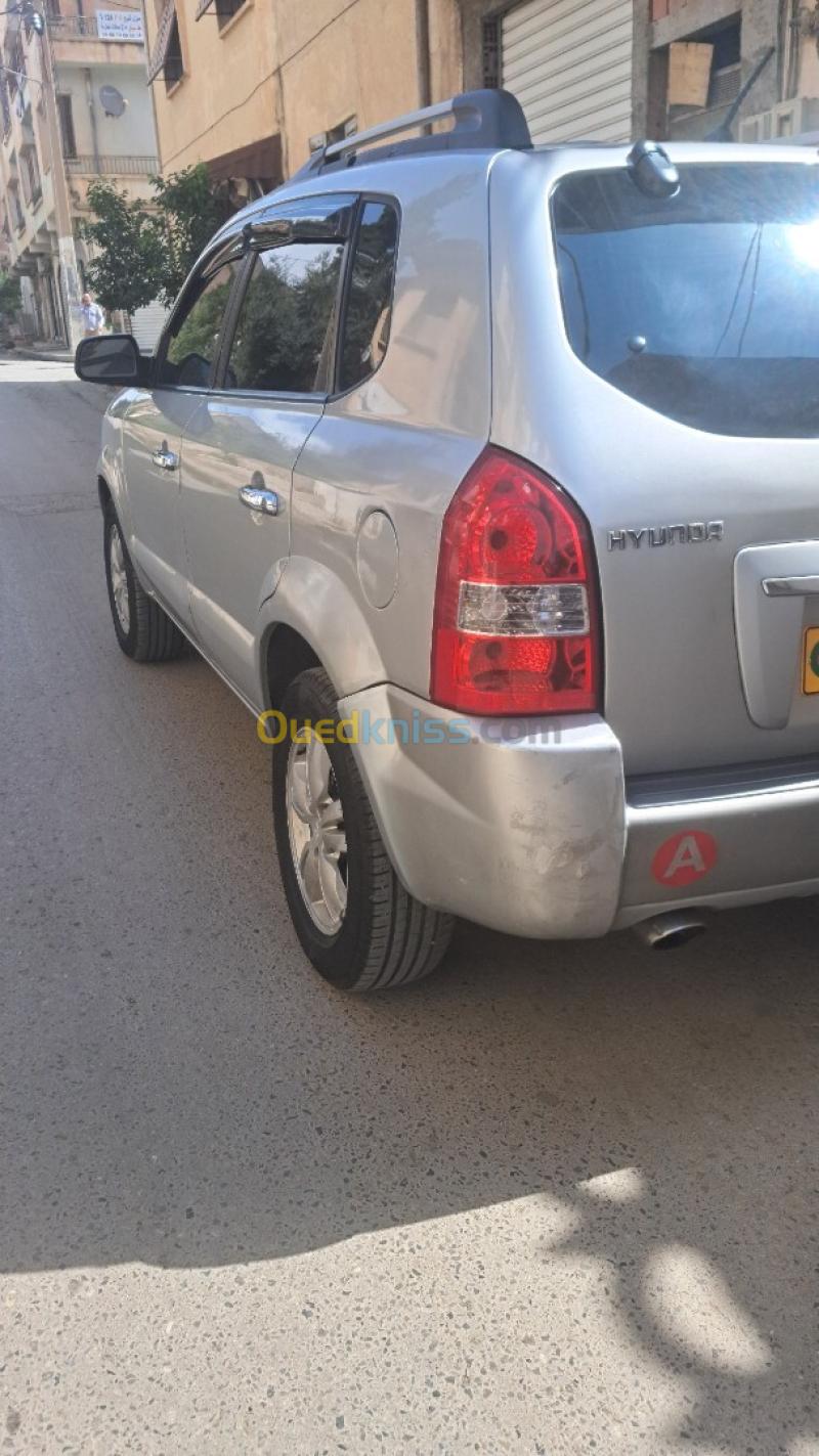 Hyundai Tucson 2010  6