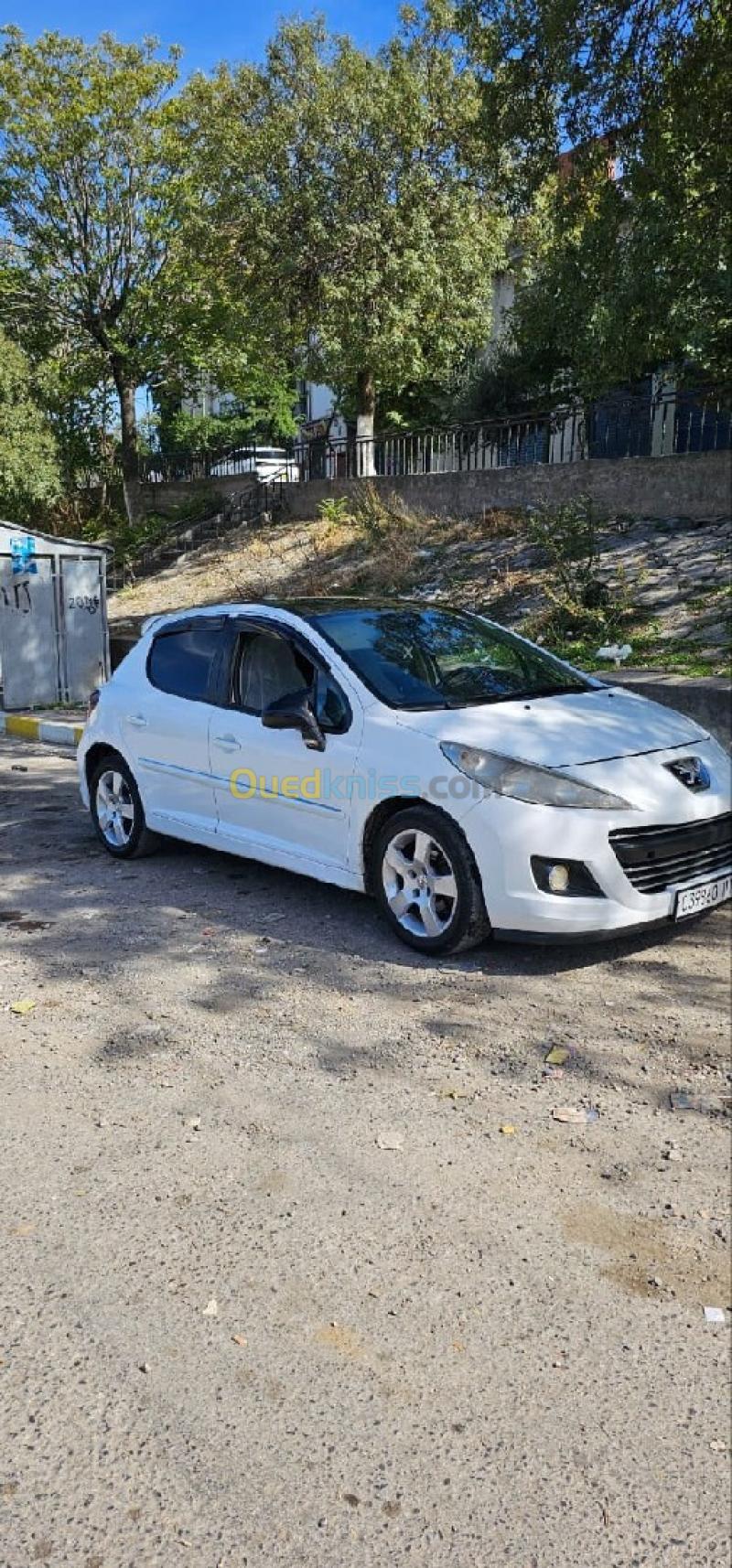 Peugeot 207 2011 Allure 6