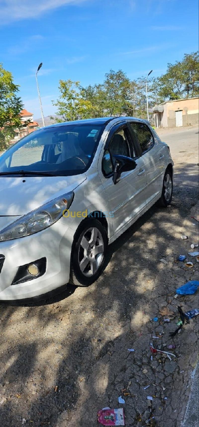 Peugeot 207 2011 Allure 10