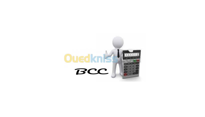  bureau de comptabilité et consulting BCC