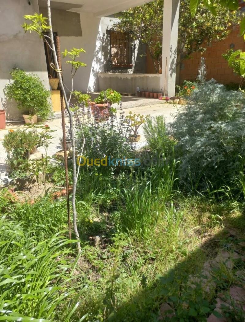 Vente Appartement Niveau de villa F3 Tipaza Hadjout