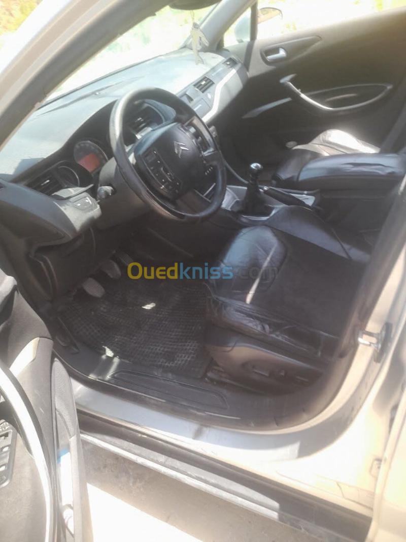 Citroen C5 2008 C5 10