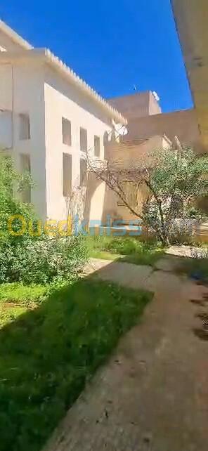 Vente Villa Tlemcen Maghnia 17