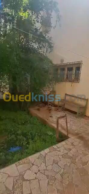 Vente Villa Tlemcen Maghnia 15