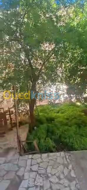 Vente Villa Tlemcen Maghnia 16