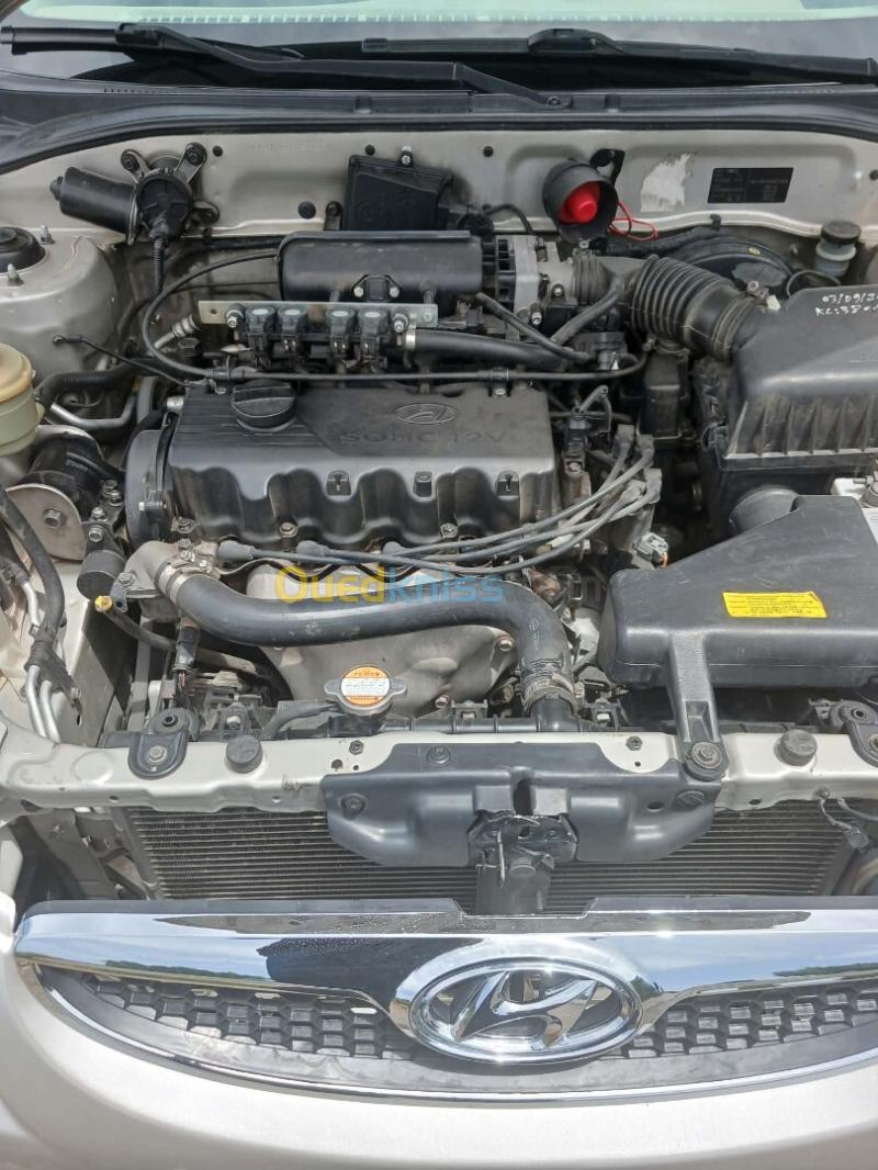 Hyundai Accent 2010 Gls 3