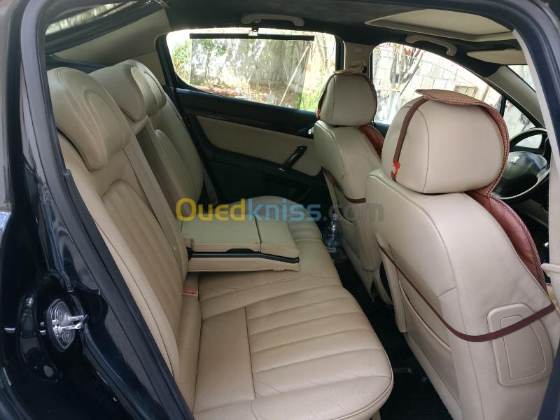 Peugeot 407 2010 407 10
