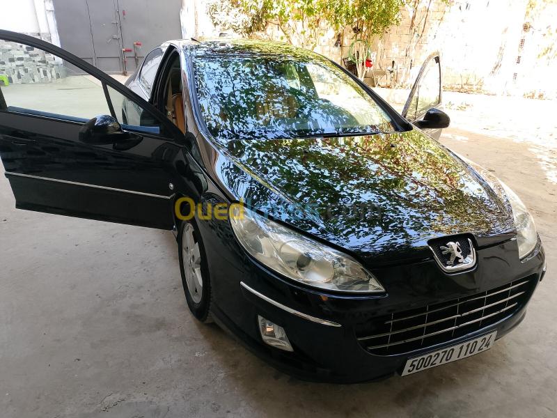 Peugeot 407 2010 407 2