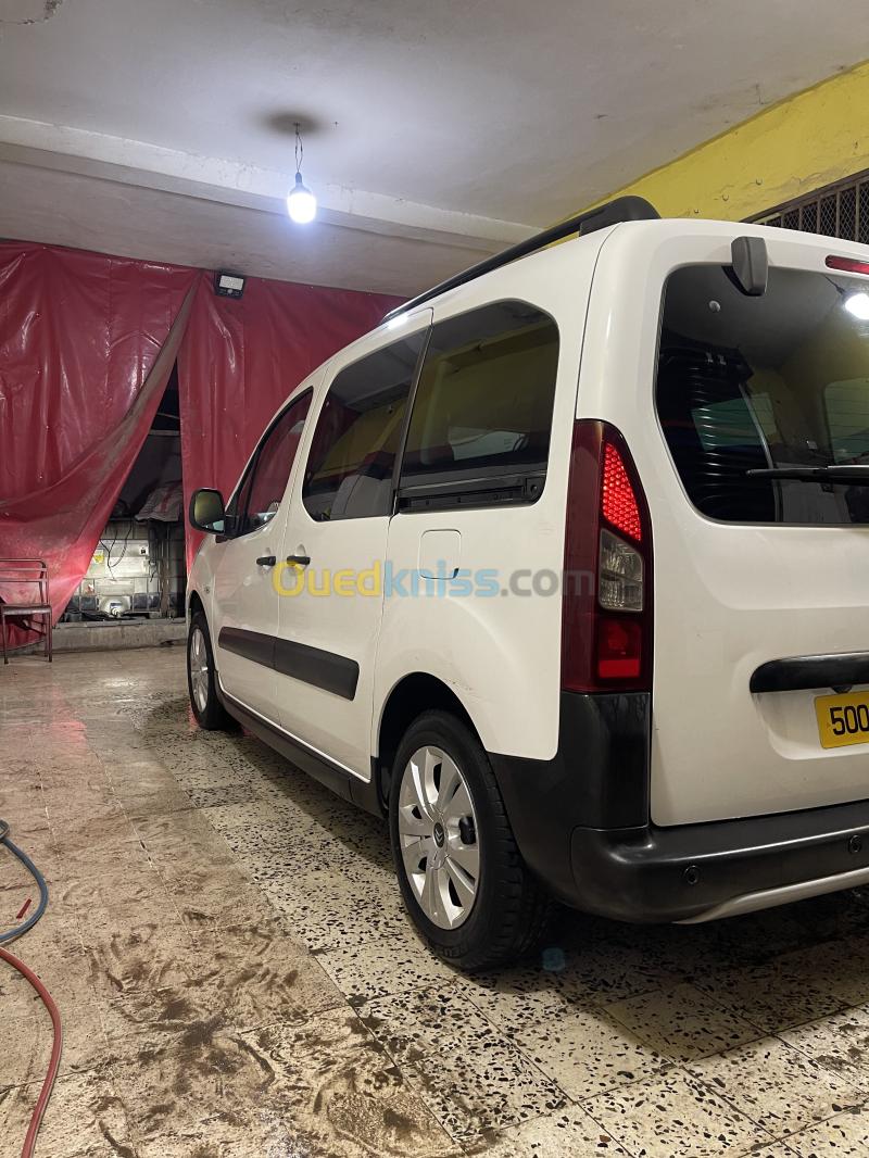 Citroen Berlingo Multispace 2017 Berlingo Multispace 2
