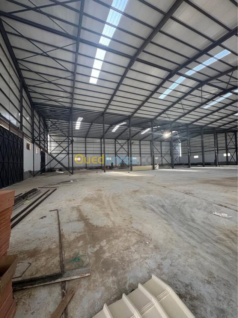 Location Hangar - Usine Blida Ouled yaich