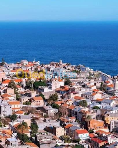 Vente Terrain Alger Bologhine